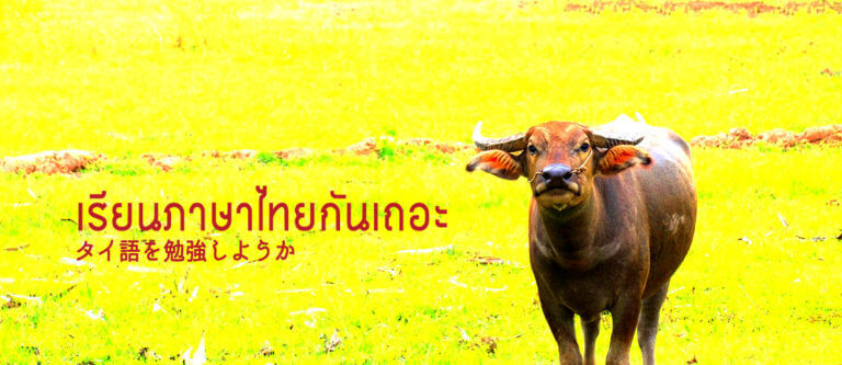 Yes, Here Is Thailand用アイキャッチ画像