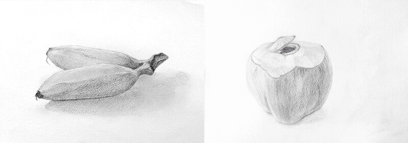デッサン画　バナナとココナッツ