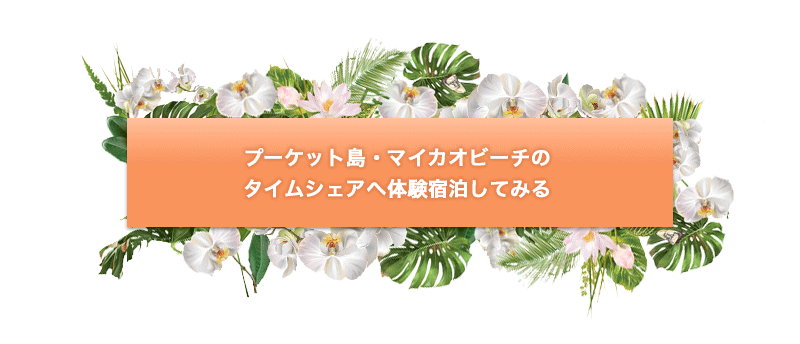 モリモリに盛ったボタン画像